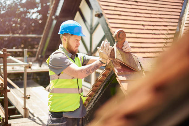 Best Roof Maintenance Services  in Moundville, AL